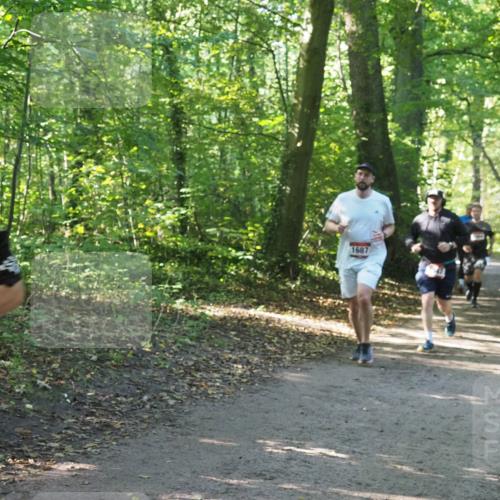 22.09.2024 - 32. Volkslauf durch das schöne Alstertal Miley Keyser http://msf.ph/oto/7136906 22.09.2024 10:24:40 Laufen 1687 meine-sportfotos.de