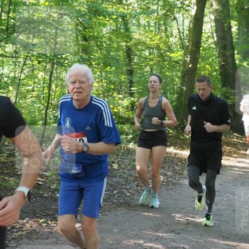 22.09.2024 - 32. Volkslauf durch das schöne Alstertal Miley Keyser http://msf.ph/oto/7136910 22.09.2024 10:24:39 Laufen  meine-sportfotos.de