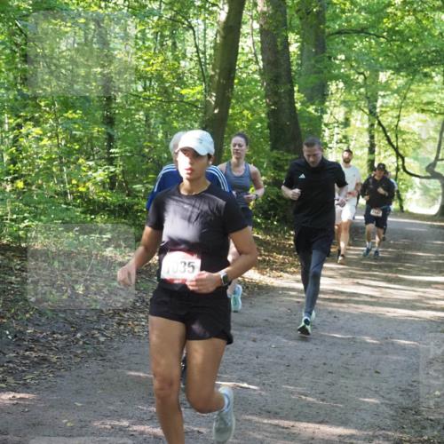 22.09.2024 - 32. Volkslauf durch das schöne Alstertal Miley Keyser http://msf.ph/oto/7136913 22.09.2024 10:24:38 Laufen 1035, 1649 meine-sportfotos.de