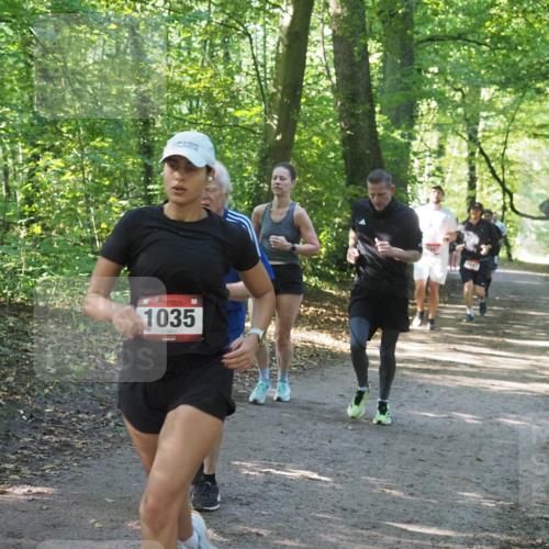 22.09.2024 - 32. Volkslauf durch das schöne Alstertal Miley Keyser http://msf.ph/oto/7136914 22.09.2024 10:24:38 Laufen 1035, 1687, 1647 meine-sportfotos.de