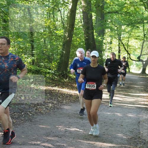 22.09.2024 - 32. Volkslauf durch das schöne Alstertal Miley Keyser http://msf.ph/oto/7136919 22.09.2024 10:24:37 Laufen 657, 1035 meine-sportfotos.de