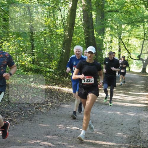 22.09.2024 - 32. Volkslauf durch das schöne Alstertal Miley Keyser http://msf.ph/oto/7136920 22.09.2024 10:24:37 Laufen 651, 1035, 1647 meine-sportfotos.de