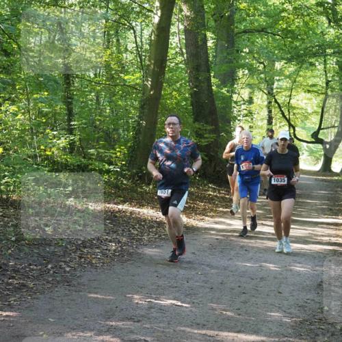 22.09.2024 - 32. Volkslauf durch das schöne Alstertal Miley Keyser http://msf.ph/oto/7136922 22.09.2024 10:24:36 Laufen 1651, 1035 meine-sportfotos.de