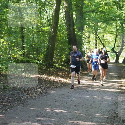 22.09.2024 - 32. Volkslauf durch das schöne Alstertal Miley Keyser http://msf.ph/oto/7136924 22.09.2024 10:24:35 Laufen 1651, 17 meine-sportfotos.de