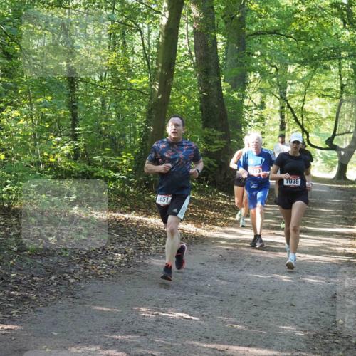 22.09.2024 - 32. Volkslauf durch das schöne Alstertal Miley Keyser http://msf.ph/oto/7136926 22.09.2024 10:24:36 Laufen 1651, 035 meine-sportfotos.de