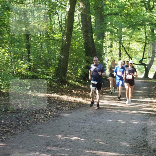 22.09.2024 - 32. Volkslauf durch das schöne Alstertal Miley Keyser http://msf.ph/oto/7136928 22.09.2024 10:24:35 Laufen 651, 1035 meine-sportfotos.de