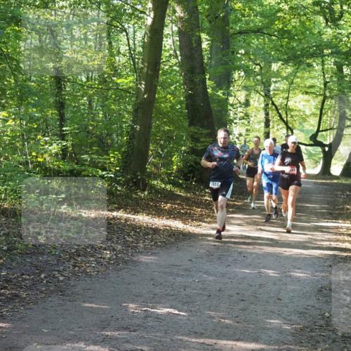 22.09.2024 - 32. Volkslauf durch das schöne Alstertal Miley Keyser http://msf.ph/oto/7136931 22.09.2024 10:24:34 Laufen 1651 meine-sportfotos.de