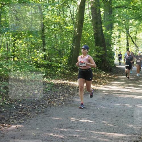 22.09.2024 - 32. Volkslauf durch das schöne Alstertal Miley Keyser http://msf.ph/oto/7136933 22.09.2024 10:24:32 Laufen 1025, 1035 meine-sportfotos.de