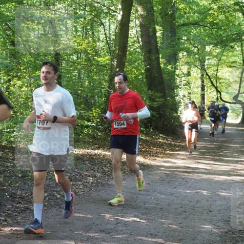 22.09.2024 - 32. Volkslauf durch das schöne Alstertal Miley Keyser http://msf.ph/oto/7136934 22.09.2024 10:24:29 Laufen 1707, 1594 meine-sportfotos.de