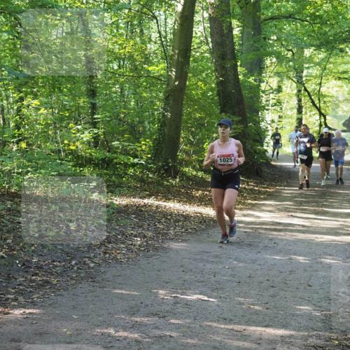 22.09.2024 - 32. Volkslauf durch das schöne Alstertal Miley Keyser http://msf.ph/oto/7136935 22.09.2024 10:24:31 Laufen 1025, 1651, 103, 710 meine-sportfotos.de