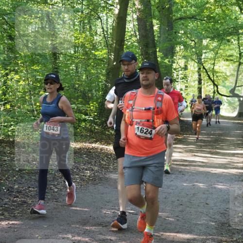 22.09.2024 - 32. Volkslauf durch das schöne Alstertal Miley Keyser http://msf.ph/oto/7136940 22.09.2024 10:24:28 Laufen 1043, 1624 meine-sportfotos.de