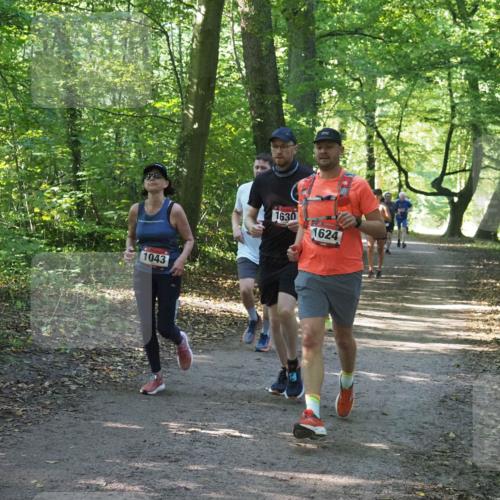 22.09.2024 - 32. Volkslauf durch das schöne Alstertal Miley Keyser http://msf.ph/oto/7136943 22.09.2024 10:24:27 Laufen 1043, 1630, 1624 meine-sportfotos.de