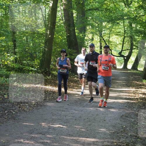 22.09.2024 - 32. Volkslauf durch das schöne Alstertal Miley Keyser http://msf.ph/oto/7136947 22.09.2024 10:24:26 Laufen 1043, 1630, 170, 1624 meine-sportfotos.de