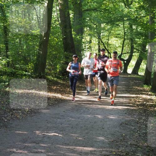 22.09.2024 - 32. Volkslauf durch das schöne Alstertal Miley Keyser http://msf.ph/oto/7136949 22.09.2024 10:24:25 Laufen 043, 1707, 1624 meine-sportfotos.de