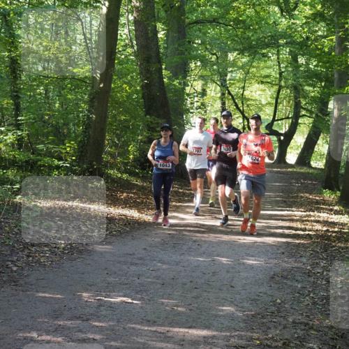 22.09.2024 - 32. Volkslauf durch das schöne Alstertal Miley Keyser http://msf.ph/oto/7136950 22.09.2024 10:24:25 Laufen 1043, 1630, 1707, 1624 meine-sportfotos.de