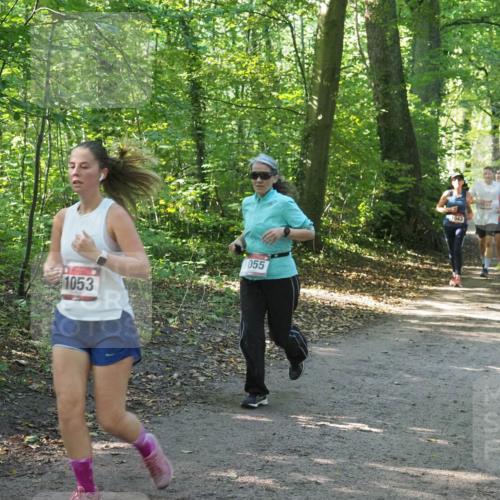 22.09.2024 - 32. Volkslauf durch das schöne Alstertal Miley Keyser http://msf.ph/oto/7136951 22.09.2024 10:24:24 Laufen 055, 1053, 1043, 1707 meine-sportfotos.de
