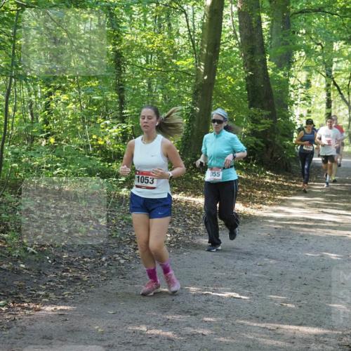 22.09.2024 - 32. Volkslauf durch das schöne Alstertal Miley Keyser http://msf.ph/oto/7136954 22.09.2024 10:24:23 Laufen 055, 1053, 707, 1043, 30, 1624 meine-sportfotos.de