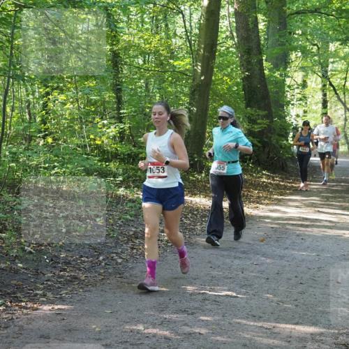 22.09.2024 - 32. Volkslauf durch das schöne Alstertal Miley Keyser http://msf.ph/oto/7136955 22.09.2024 10:24:23 Laufen 1053, 055, 1043, 707, 1624 meine-sportfotos.de