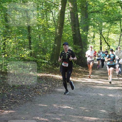 22.09.2024 - 32. Volkslauf durch das schöne Alstertal Miley Keyser http://msf.ph/oto/7136959 22.09.2024 10:24:17 Laufen 1047, 1050, 1039 meine-sportfotos.de