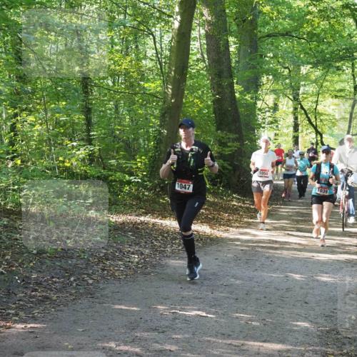 22.09.2024 - 32. Volkslauf durch das schöne Alstertal Miley Keyser http://msf.ph/oto/7136961 22.09.2024 10:24:17 Laufen 1047, 1050, 1039 meine-sportfotos.de