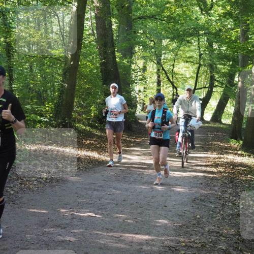 22.09.2024 - 32. Volkslauf durch das schöne Alstertal Miley Keyser http://msf.ph/oto/7136962 22.09.2024 10:24:18 Laufen 1047, 105, 1039 meine-sportfotos.de