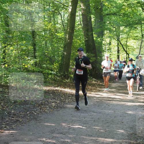 22.09.2024 - 32. Volkslauf durch das schöne Alstertal Miley Keyser http://msf.ph/oto/7136963 22.09.2024 10:24:16 Laufen 1047, 1050, 105, 1039 meine-sportfotos.de