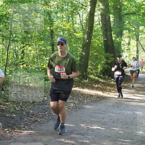 22.09.2024 - 32. Volkslauf durch das schöne Alstertal Miley Keyser http://msf.ph/oto/7136965 22.09.2024 10:24:15 Laufen 1631, 1056, 1039 meine-sportfotos.de