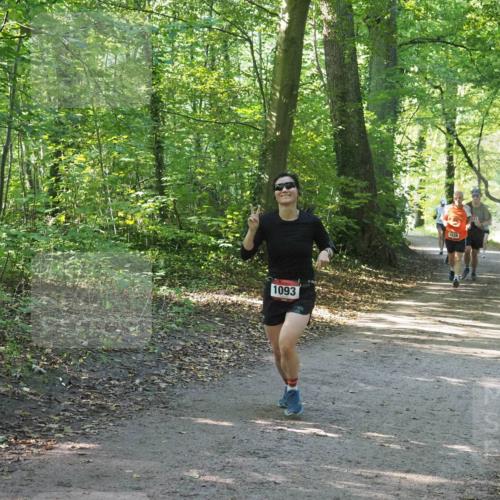 22.09.2024 - 32. Volkslauf durch das schöne Alstertal Miley Keyser http://msf.ph/oto/7136977 22.09.2024 10:24:09 Laufen 1093, 1638 meine-sportfotos.de