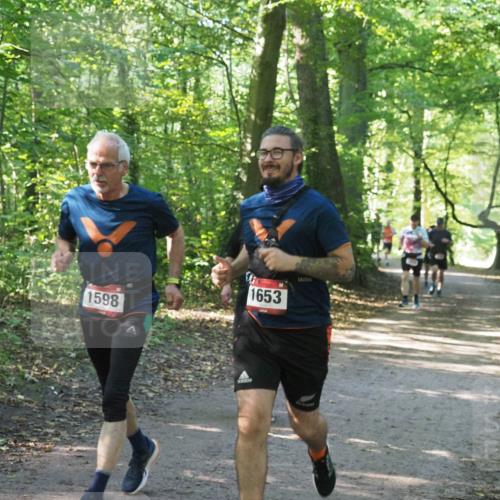 22.09.2024 - 32. Volkslauf durch das schöne Alstertal Miley Keyser http://msf.ph/oto/7136995 22.09.2024 10:24:01 Laufen 1598, 1653 meine-sportfotos.de