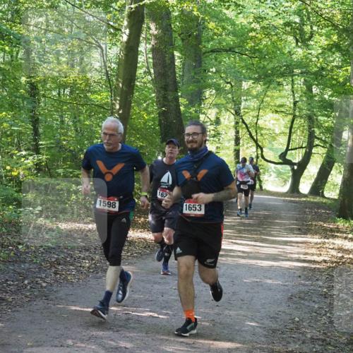 22.09.2024 - 32. Volkslauf durch das schöne Alstertal Miley Keyser http://msf.ph/oto/7137001 22.09.2024 10:24:00 Laufen 1598, 2014, 162, 1653, 1658 meine-sportfotos.de