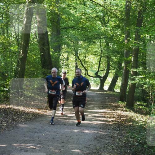 22.09.2024 - 32. Volkslauf durch das schöne Alstertal Miley Keyser http://msf.ph/oto/7137004 22.09.2024 10:23:59 Laufen 1598, 1653 meine-sportfotos.de