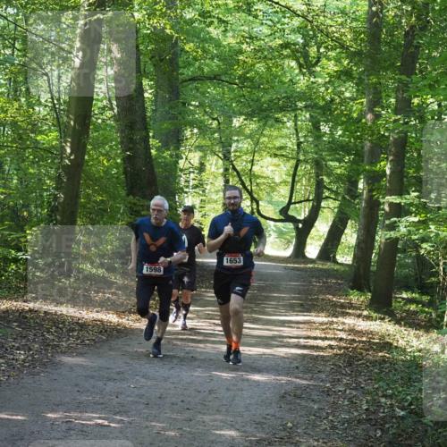 22.09.2024 - 32. Volkslauf durch das schöne Alstertal Miley Keyser http://msf.ph/oto/7137005 22.09.2024 10:23:59 Laufen 1598, 1653 meine-sportfotos.de