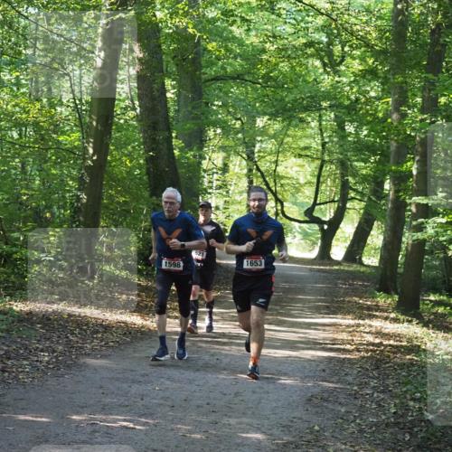 22.09.2024 - 32. Volkslauf durch das schöne Alstertal Miley Keyser http://msf.ph/oto/7137006 22.09.2024 10:23:59 Laufen 1598, 1653 meine-sportfotos.de