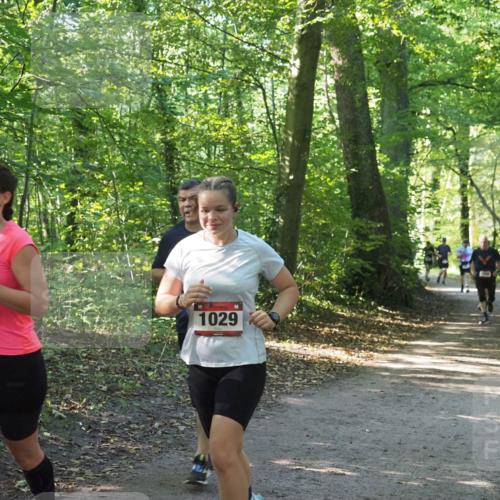 22.09.2024 - 32. Volkslauf durch das schöne Alstertal Miley Keyser http://msf.ph/oto/7137007 22.09.2024 10:23:55 Laufen 1034, 1029 meine-sportfotos.de