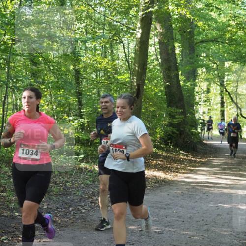 22.09.2024 - 32. Volkslauf durch das schöne Alstertal Miley Keyser http://msf.ph/oto/7137008 22.09.2024 10:23:54 Laufen 1034, 1, 1020 meine-sportfotos.de