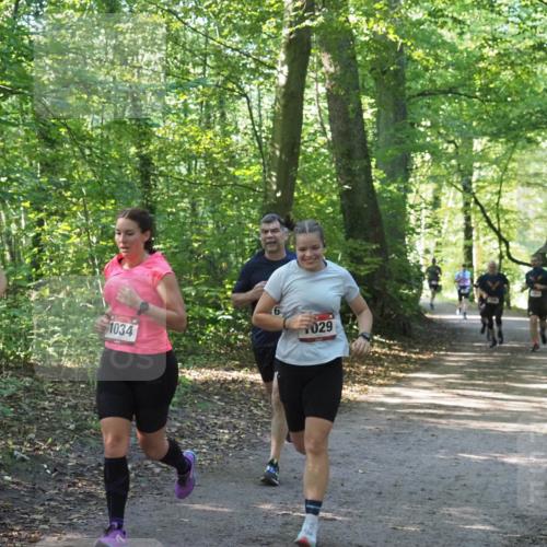 22.09.2024 - 32. Volkslauf durch das schöne Alstertal Miley Keyser http://msf.ph/oto/7137009 22.09.2024 10:23:54 Laufen 029, 1034 meine-sportfotos.de