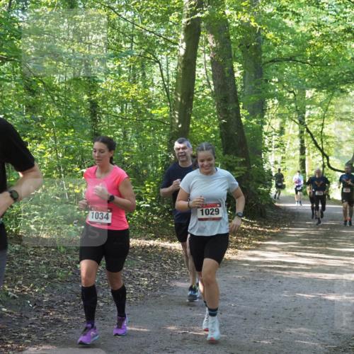 22.09.2024 - 32. Volkslauf durch das schöne Alstertal Miley Keyser http://msf.ph/oto/7137010 22.09.2024 10:23:54 Laufen 2509, 1034, 1029, 1653 meine-sportfotos.de
