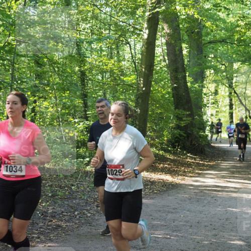 22.09.2024 - 32. Volkslauf durch das schöne Alstertal Miley Keyser http://msf.ph/oto/7137011 22.09.2024 10:23:55 Laufen 1034, 1029 meine-sportfotos.de