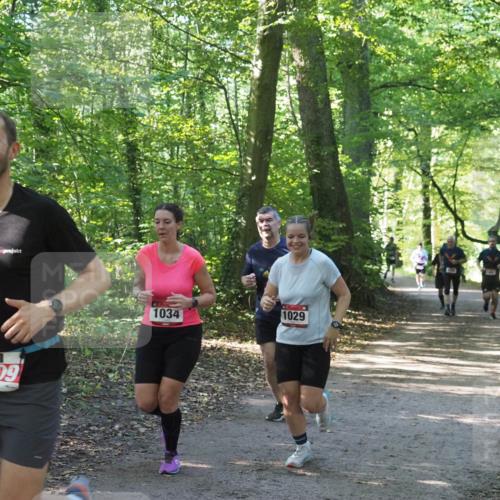 22.09.2024 - 32. Volkslauf durch das schöne Alstertal Miley Keyser http://msf.ph/oto/7137012 22.09.2024 10:23:54 Laufen 2509, 1034, 1029 meine-sportfotos.de