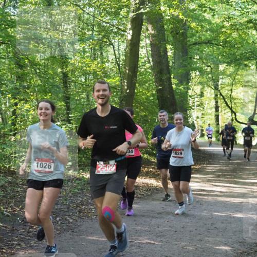 22.09.2024 - 32. Volkslauf durch das schöne Alstertal Miley Keyser http://msf.ph/oto/7137015 22.09.2024 10:23:53 Laufen 1026, 2620, 2509, 34, 1029 meine-sportfotos.de