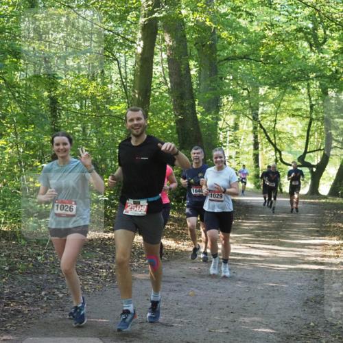 22.09.2024 - 32. Volkslauf durch das schöne Alstertal Miley Keyser http://msf.ph/oto/7137016 22.09.2024 10:23:53 Laufen 1026, 2509, 25, 1640, 1029 meine-sportfotos.de