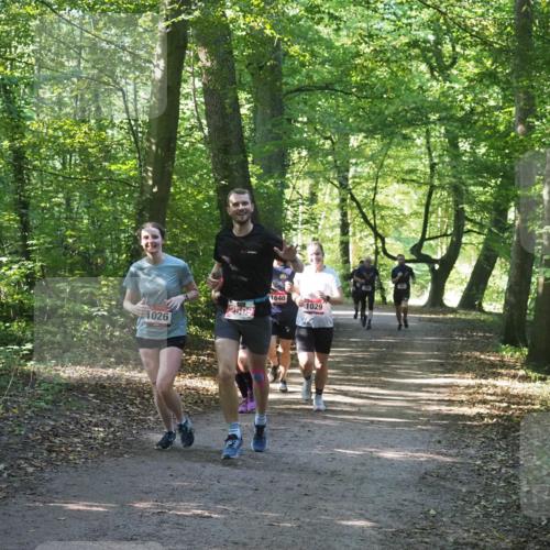 22.09.2024 - 32. Volkslauf durch das schöne Alstertal Miley Keyser http://msf.ph/oto/7137019 22.09.2024 10:23:52 Laufen 1026, 2509, 1640, 1029 meine-sportfotos.de