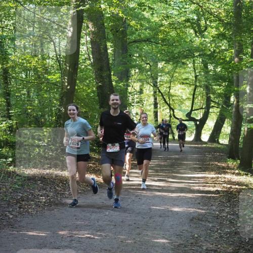 22.09.2024 - 32. Volkslauf durch das schöne Alstertal Miley Keyser http://msf.ph/oto/7137023 22.09.2024 10:23:52 Laufen 1026, 2509, 1640, 329 meine-sportfotos.de