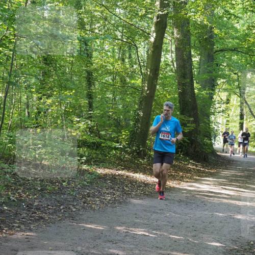 22.09.2024 - 32. Volkslauf durch das schöne Alstertal Miley Keyser http://msf.ph/oto/7137031 22.09.2024 10:23:42 Laufen 1618 meine-sportfotos.de