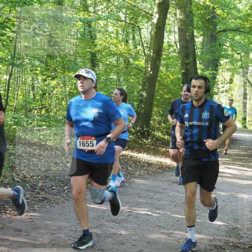 22.09.2024 - 32. Volkslauf durch das schöne Alstertal Miley Keyser http://msf.ph/oto/7137041 22.09.2024 10:23:39 Laufen 1655 meine-sportfotos.de