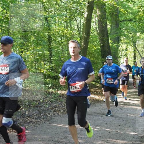 22.09.2024 - 32. Volkslauf durch das schöne Alstertal Miley Keyser http://msf.ph/oto/7137044 22.09.2024 10:23:38 Laufen 1646, 176, 1655, 161, 1649 meine-sportfotos.de