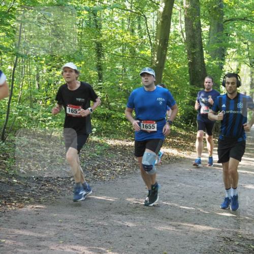 22.09.2024 - 32. Volkslauf durch das schöne Alstertal Miley Keyser http://msf.ph/oto/7137046 22.09.2024 10:23:39 Laufen 165, 1655, 1649 meine-sportfotos.de