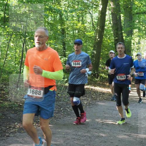 22.09.2024 - 32. Volkslauf durch das schöne Alstertal Miley Keyser http://msf.ph/oto/7137047 22.09.2024 10:23:37 Laufen 1688, 1646, 1763, 1655 meine-sportfotos.de
