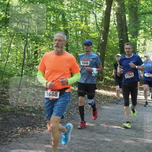 22.09.2024 - 32. Volkslauf durch das schöne Alstertal Miley Keyser http://msf.ph/oto/7137048 22.09.2024 10:23:37 Laufen 1688, 1646, 1763, 1655 meine-sportfotos.de
