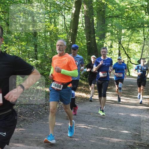 22.09.2024 - 32. Volkslauf durch das schöne Alstertal Miley Keyser http://msf.ph/oto/7137051 22.09.2024 10:23:36 Laufen 1755, 1688, 1763, 1655 meine-sportfotos.de